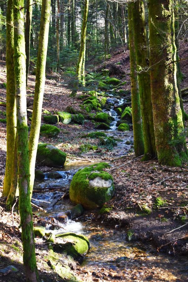 "La Vieille Grange", Au Coeur De La Nature Laveline-du-Houx ภายนอก รูปภาพ